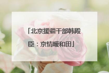 北京援疆干部韩殿臣：京情暖和田