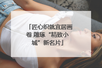 匠心织就宜居画卷 雕琢“精致小城”新名片