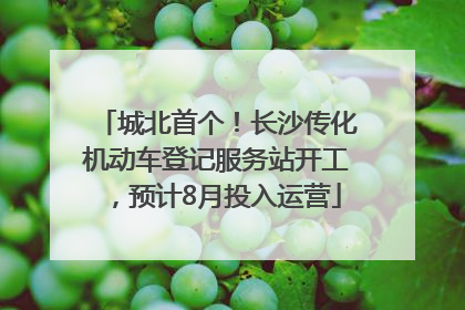 城北首个！长沙传化机动车登记服务站开工，预计8月投入运营