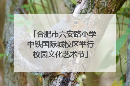 合肥市六安路小学中铁国际城校区举行校园文化艺术节