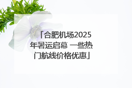 合肥机场2025年暑运启幕 一些热门航线价格优惠