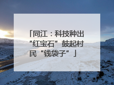 同江:科技种出“红宝石”鼓起村民“钱袋子”