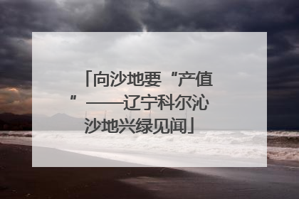 向沙地要“产值”——辽宁科尔沁沙地兴绿见闻
