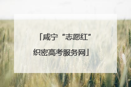 咸宁“志愿红”织密高考服务网
