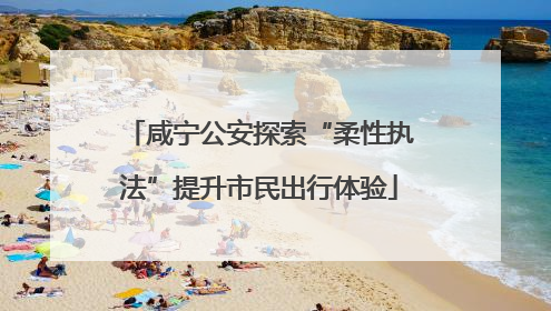 咸宁公安探索“柔性执法”提升市民出行体验