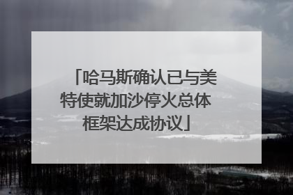 哈马斯确认已与美特使就加沙停火总体框架达成协议