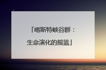 喀斯特峡谷群：生命演化的摇篮