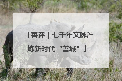 善评｜七千年文脉淬炼新时代“善城”