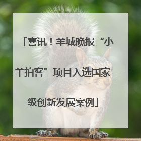 喜讯！羊城晚报“小羊拍客”项目入选国家级创新发展案例