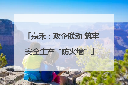嘉禾：政企联动 筑牢安全生产“防火墙”