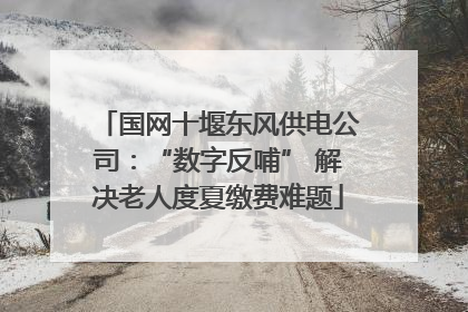 国网十堰东风供电公司：“数字反哺” 解决老人度夏缴费难题