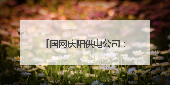 国网庆阳供电公司：电脉连通诗与远方 服务点亮露营之光