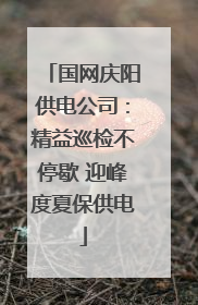 国网庆阳供电公司：精益巡检不停歇 迎峰度夏保供电