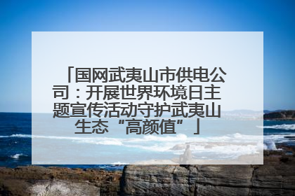 国网武夷山市供电公司：开展世界环境日主题宣传活动守护武夷山生态“高颜值”