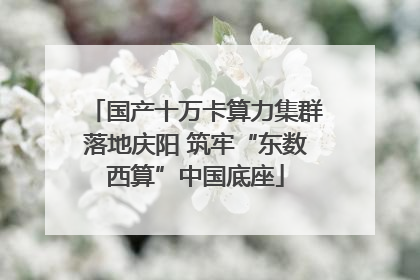 国产十万卡算力集群落地庆阳 筑牢“东数西算”中国底座