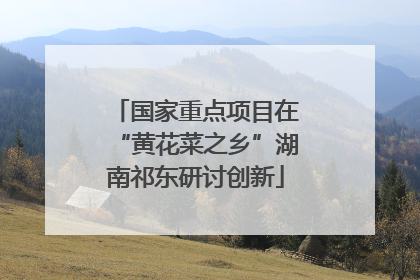 国家重点项目在“黄花菜之乡”湖南祁东研讨创新