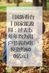 国新看台丨国家能源局：过去五年年均为用户节省办电投资约600亿元