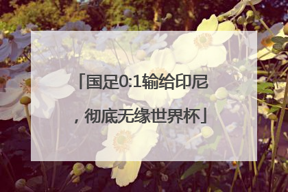 国足0:1输给印尼，彻底无缘世界杯