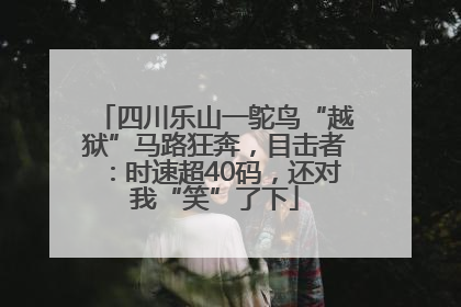 四川乐山一鸵鸟“越狱”马路狂奔，目击者：时速超40码，还对我“笑”了下