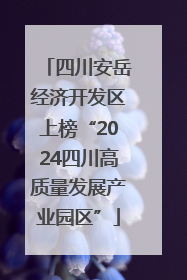 四川安岳经济开发区上榜“2024四川高质量发展产业园区”