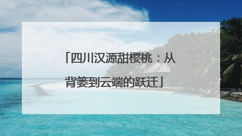 四川汉源甜樱桃：从背篓到云端的跃迁