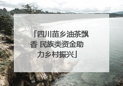 四川苗乡油茶飘香 民族类资金助力乡村振兴