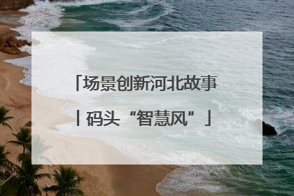 场景创新河北故事丨码头“智慧风”