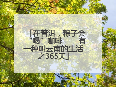 在普洱，粽子会“喝”咖啡——有一种叫云南的生活之365天