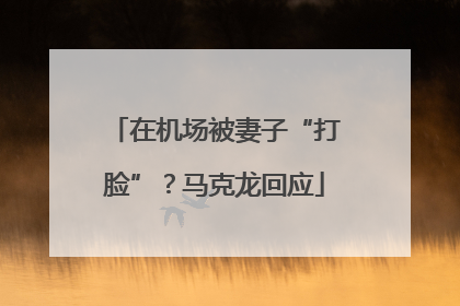 在机场被妻子“打脸”？马克龙回应