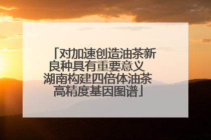 对加速创造油茶新良种具有重要意义 湖南构建四倍体油茶高精度基因图谱