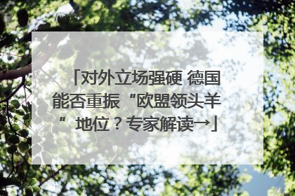 对外立场强硬 德国能否重振“欧盟领头羊”地位？专家解读→