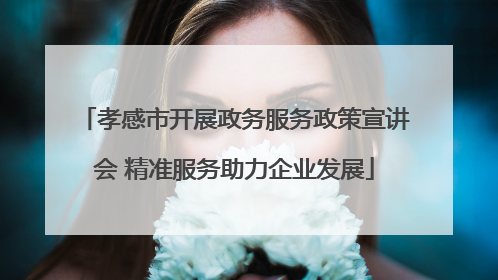 孝感市开展政务服务政策宣讲会 精准服务助力企业发展