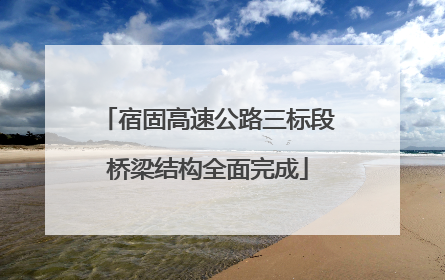 宿固高速公路三标段桥梁结构全面完成
