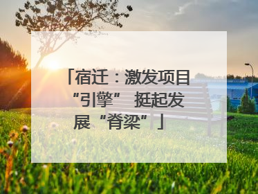 宿迁：激发项目“引擎” 挺起发展“脊梁”