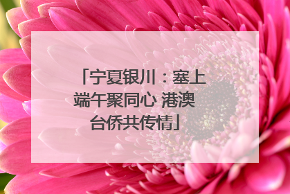 宁夏银川：塞上端午聚同心 港澳台侨共传情