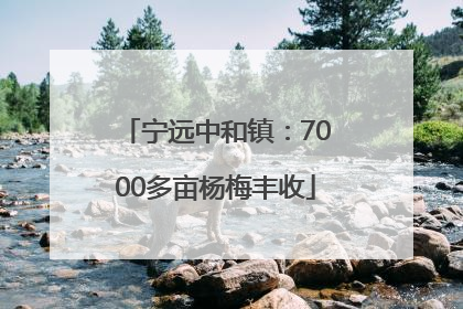宁远中和镇：7000多亩杨梅丰收