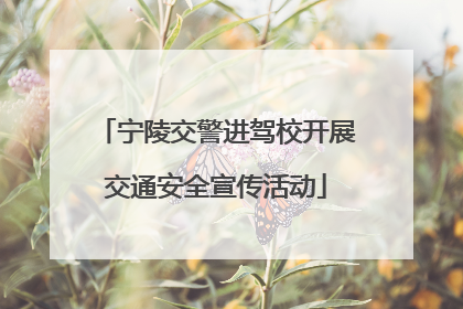 宁陵交警进驾校开展交通安全宣传活动