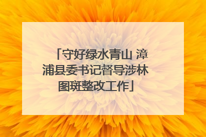 守好绿水青山 漳浦县委书记督导涉林图斑整改工作