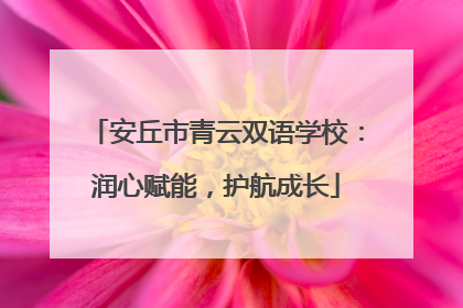 安丘市青云双语学校：润心赋能，护航成长