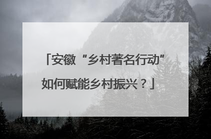 安徽“乡村著名行动”如何赋能乡村振兴？