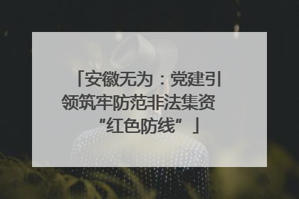 安徽无为：党建引领筑牢防范非法集资“红色防线”