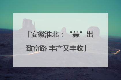 安徽淮北：“蒜”出致富路 丰产又丰收
