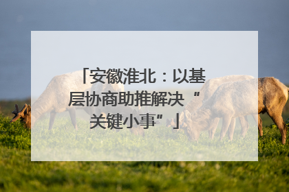 安徽淮北：以基层协商助推解决“关键小事”
