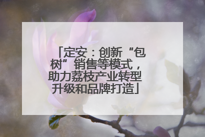 定安：创新“包树”销售等模式，助力荔枝产业转型升级和品牌打造