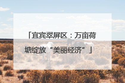 宜宾翠屏区：万亩荷塘绽放“美丽经济”