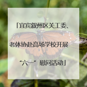 宜宾叙州区关工委、老体协赴高场学校开展“六一”慰问活动