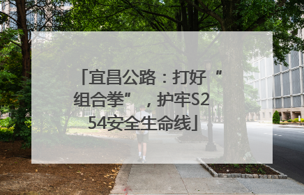 宜昌公路：打好“组合拳”，护牢S254安全生命线