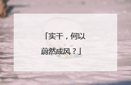实干，何以蔚然成风？