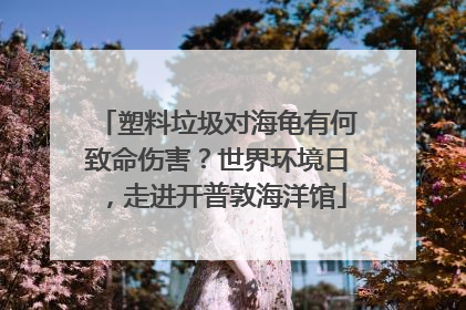 塑料垃圾对海龟有何致命伤害？世界环境日，走进开普敦海洋馆
