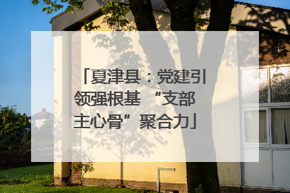 夏津县：党建引领强根基 “支部主心骨”聚合力